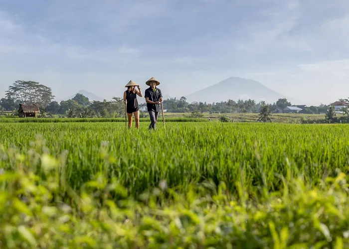 The Alena A Pramana Experience