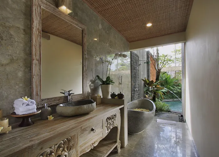 The Alena A Pramana Experience